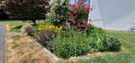 Gartenpflege Winterthur - Impressionen unserer Arbeit