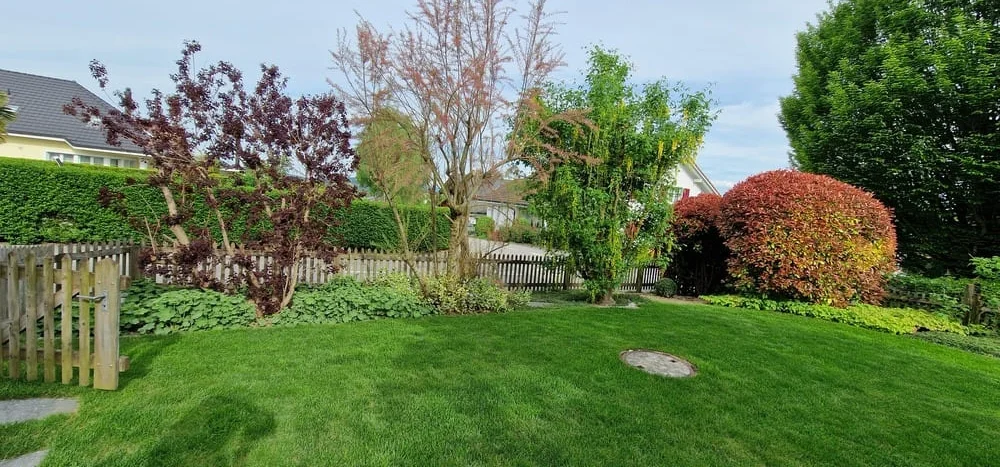 Fretz Gartenpflege GmbH - Ihr Partner für Gartenpflege in Winterthur - Gartenpflege Winterthur in Winterthur